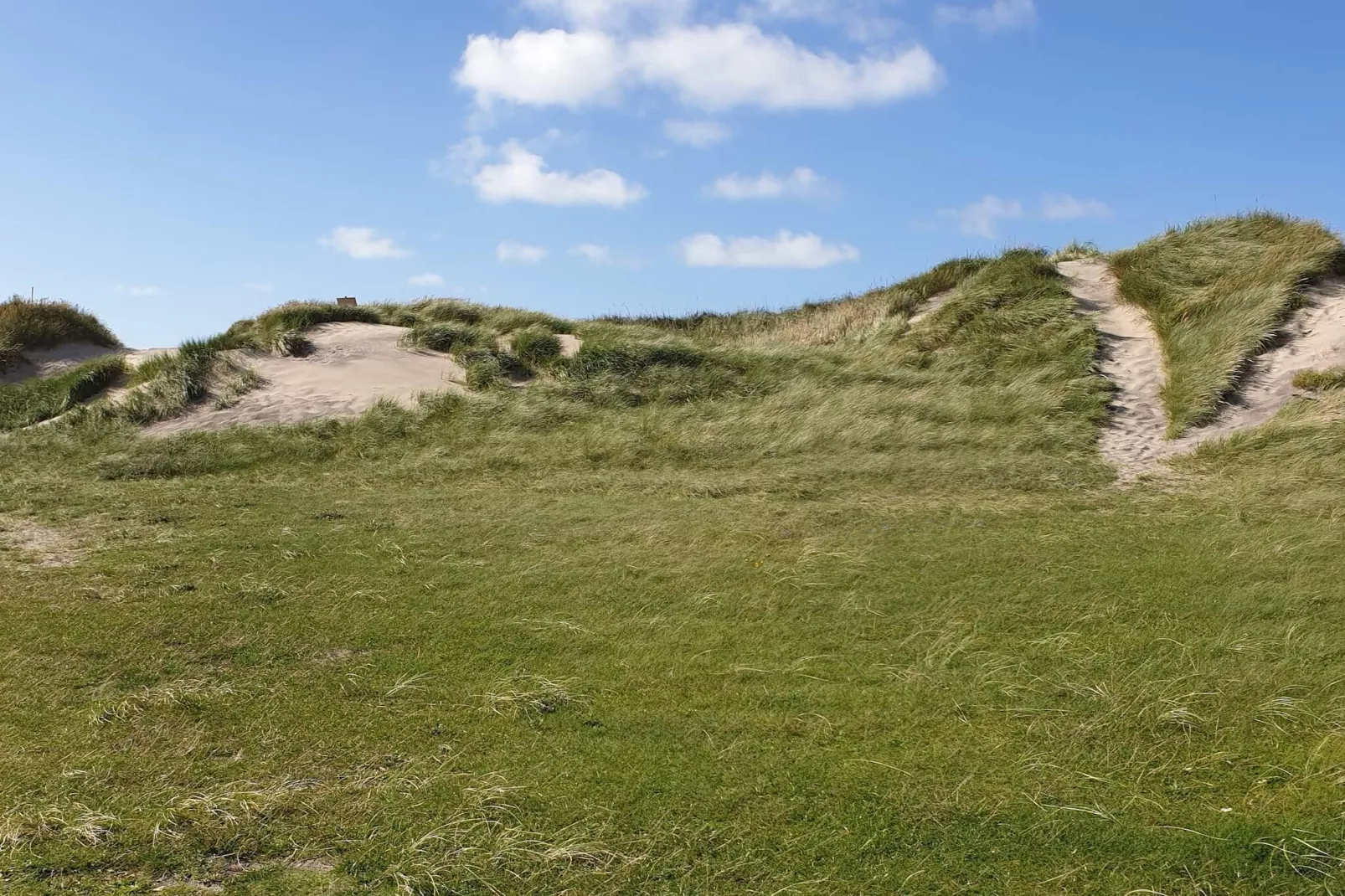 8 persoons vakantie huis in Hjørring-By Traum-Niet-getagd