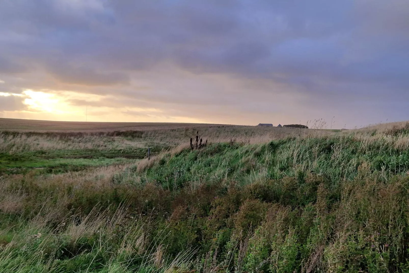4 persoons vakantie huis in Lemvig-By Traum-Niet-getagd