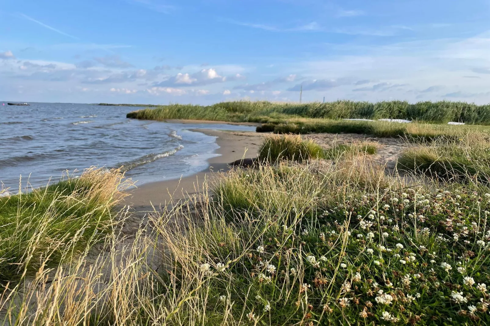 8 persoons vakantie huis in Ulfborg-Waterzicht