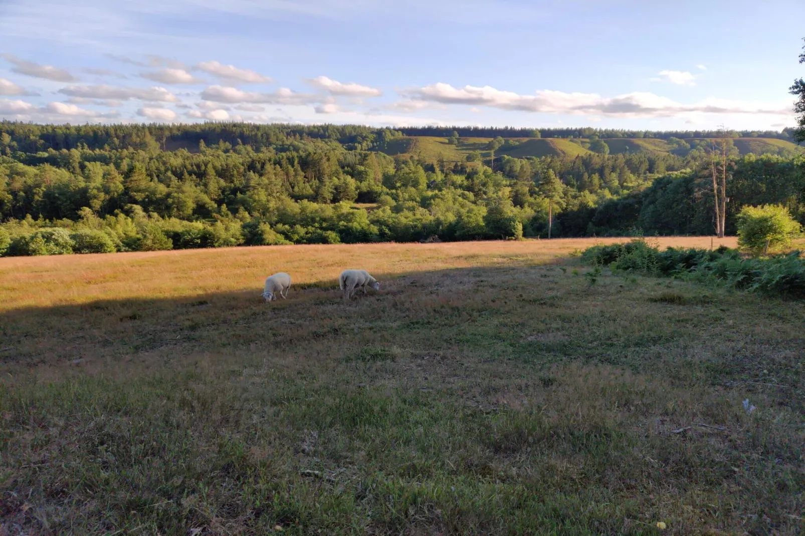 6 persoons vakantie huis in Silkeborg-By Traum