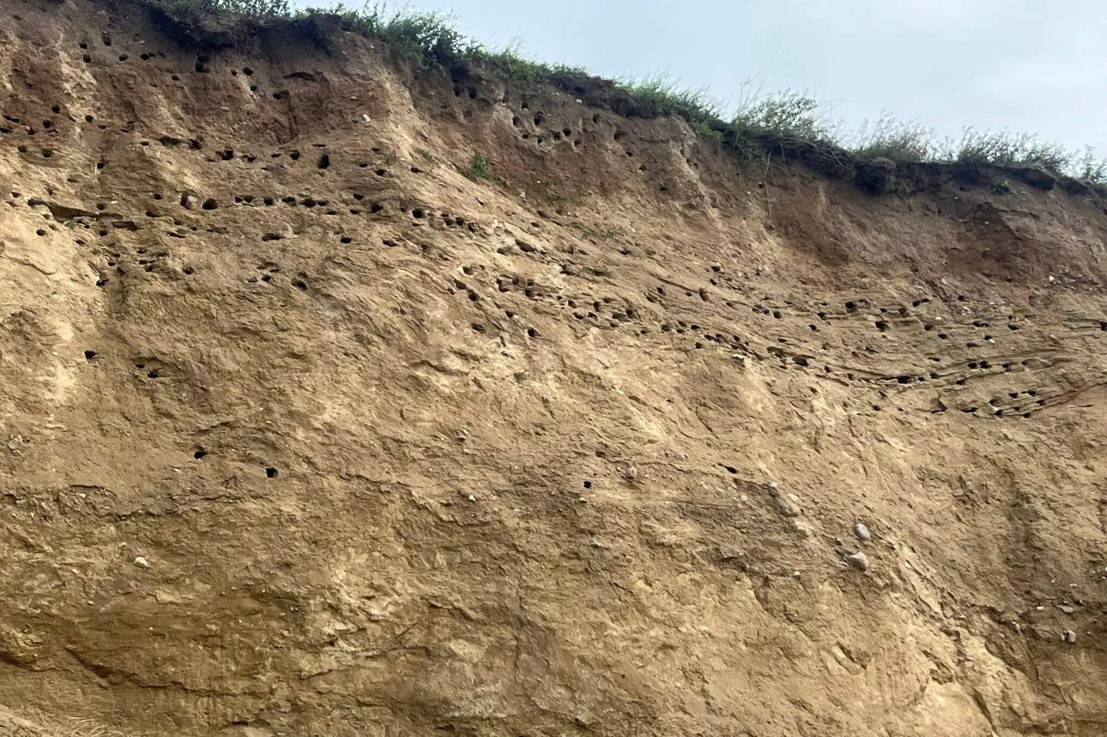 Luxe strandhuis -- By Traum Ferienwohnungen-Niet-getagd