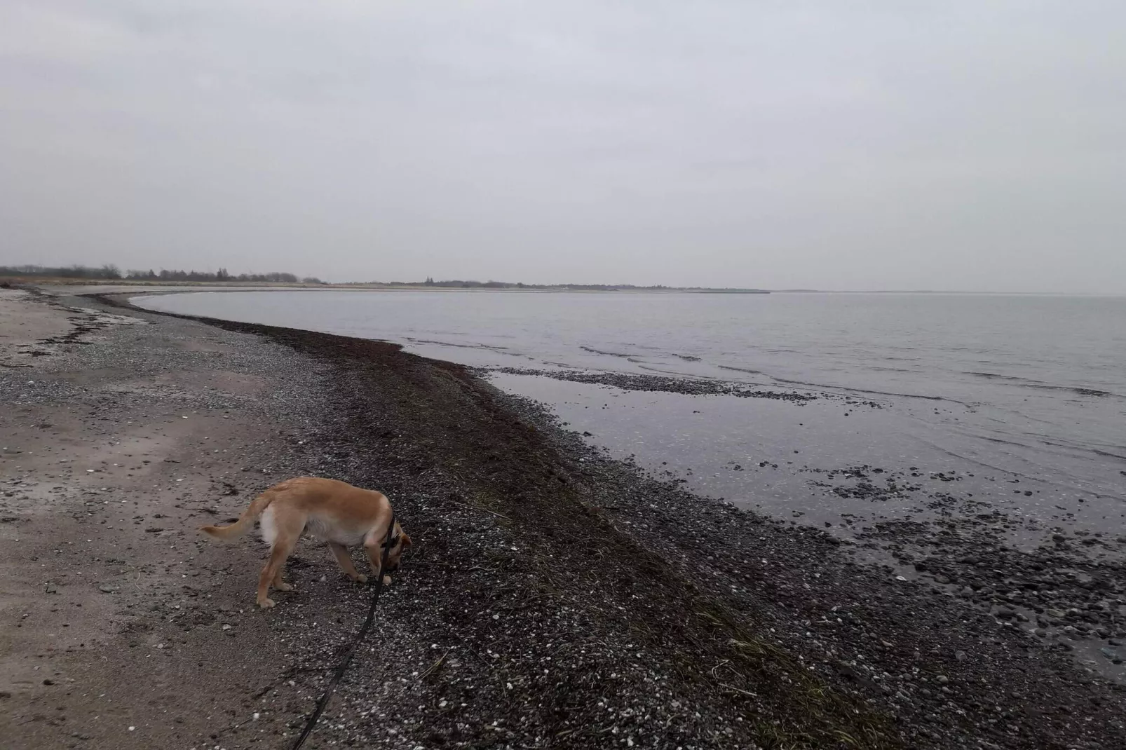 10 persoons vakantie huis in Rødby-By Traum-Waterzicht