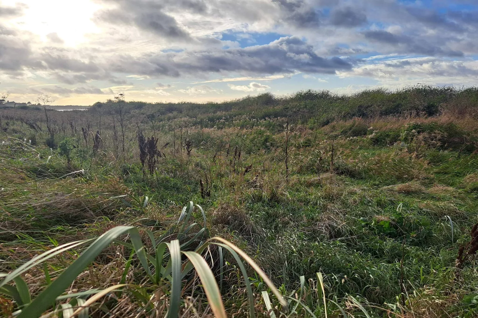 6 persoons vakantie huis in Kalundborg-By Traum-Niet-getagd