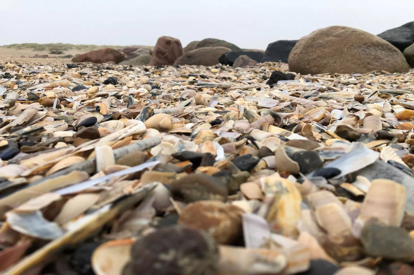 8 persoons vakantie huis in Blåvand