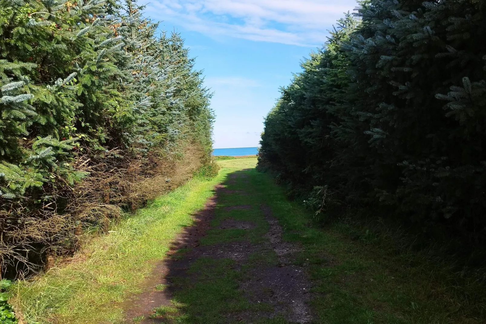 Afgelegen oase met zwembad -- By Traum Ferienwohnungen