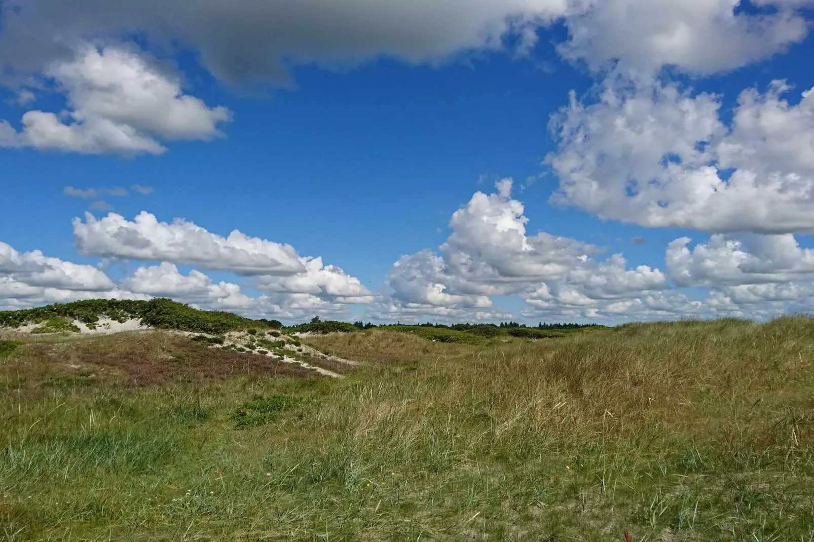 6 persoons vakantie huis in Hals-By Traum-Niet-getagd