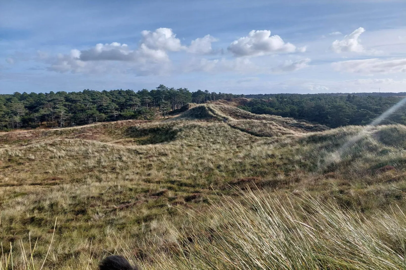 6 persoons vakantie huis in Rømø-By Traum-Niet-getagd