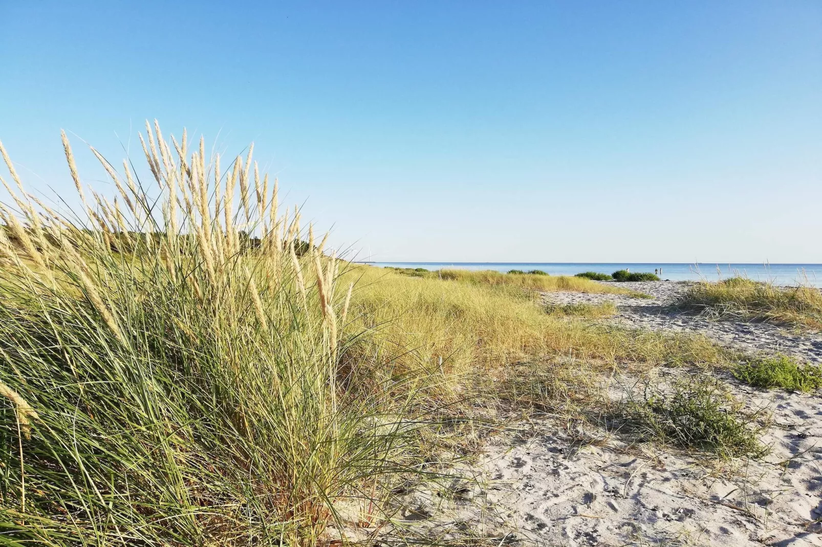 8 persoons vakantie huis in Ebeltoft-By Traum-Niet-getagd