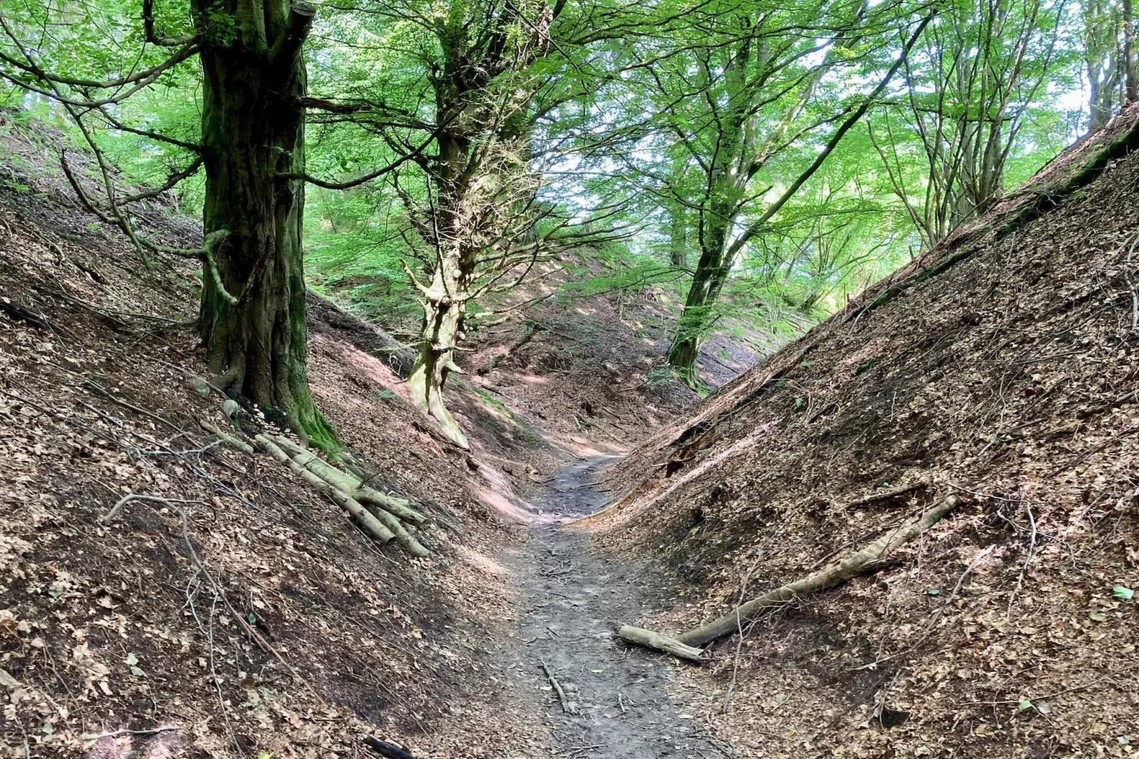 6 persoons vakantie huis in Brovst-By Traum-Niet-getagd