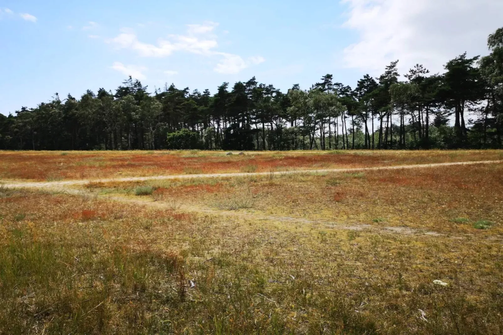 3 room,1st row,renovated-Niet-getagd