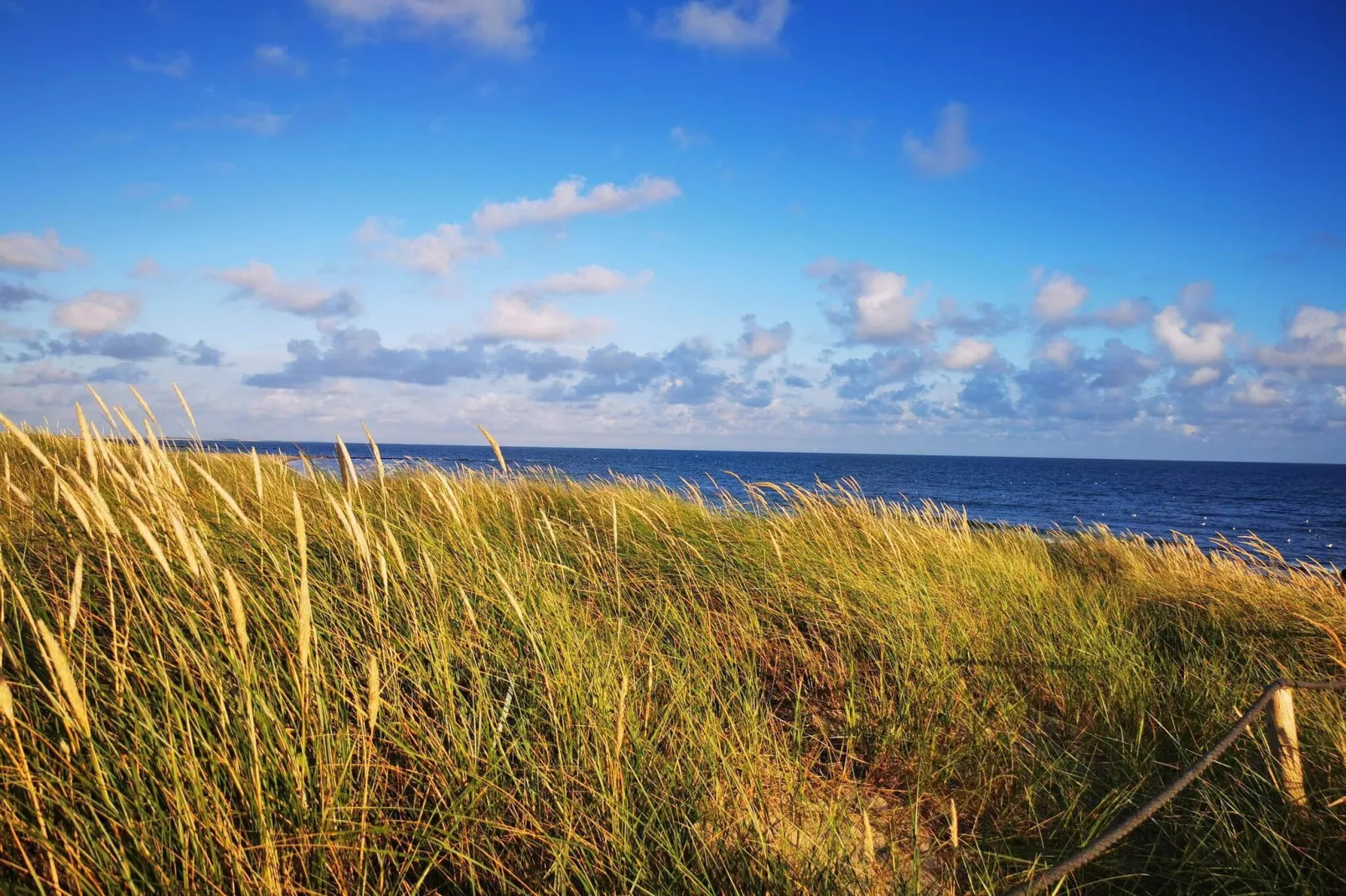 8 persoons vakantie huis in Blåvand-By Traum
