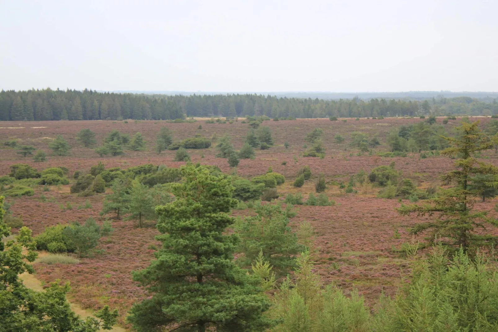4 persoons vakantie huis in Hovborg-By Traum-Niet-getagd