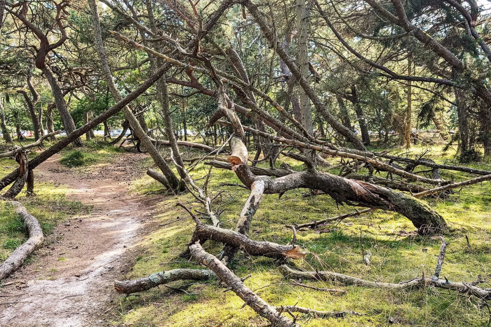 6 persoons vakantie huis in Frederiksværk-By Traum-Buitenlucht
