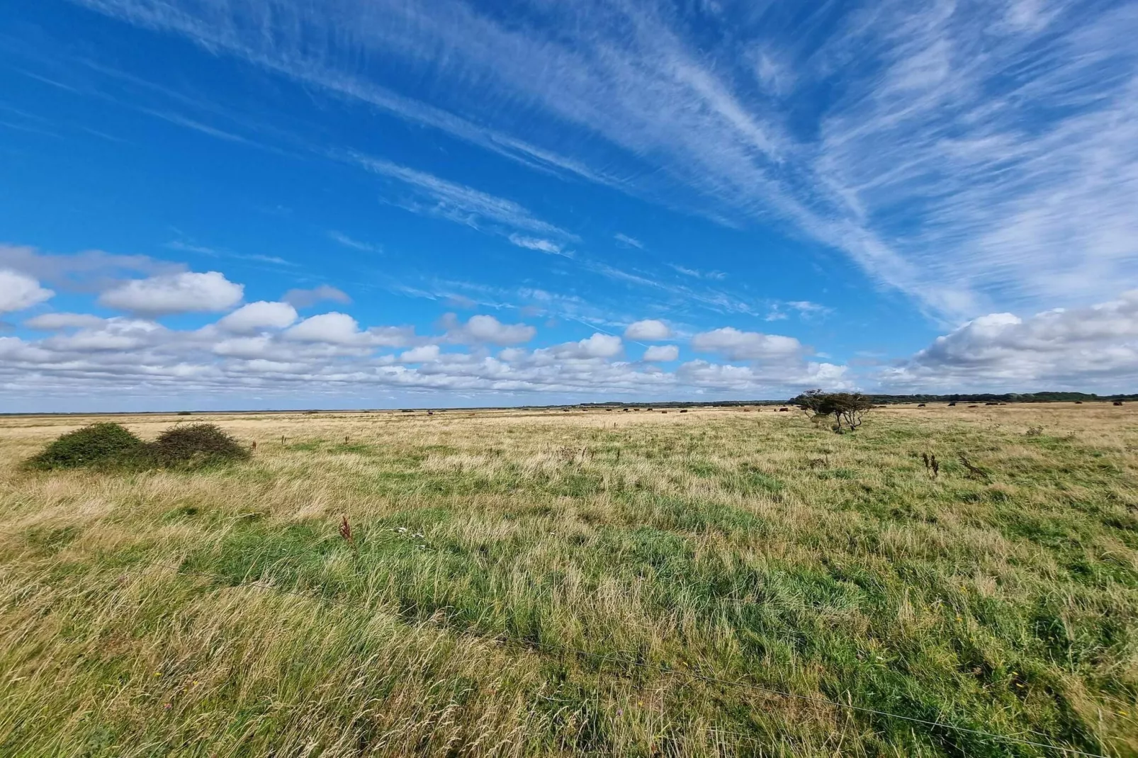 6 persoons vakantie huis in Tarm-By Traum