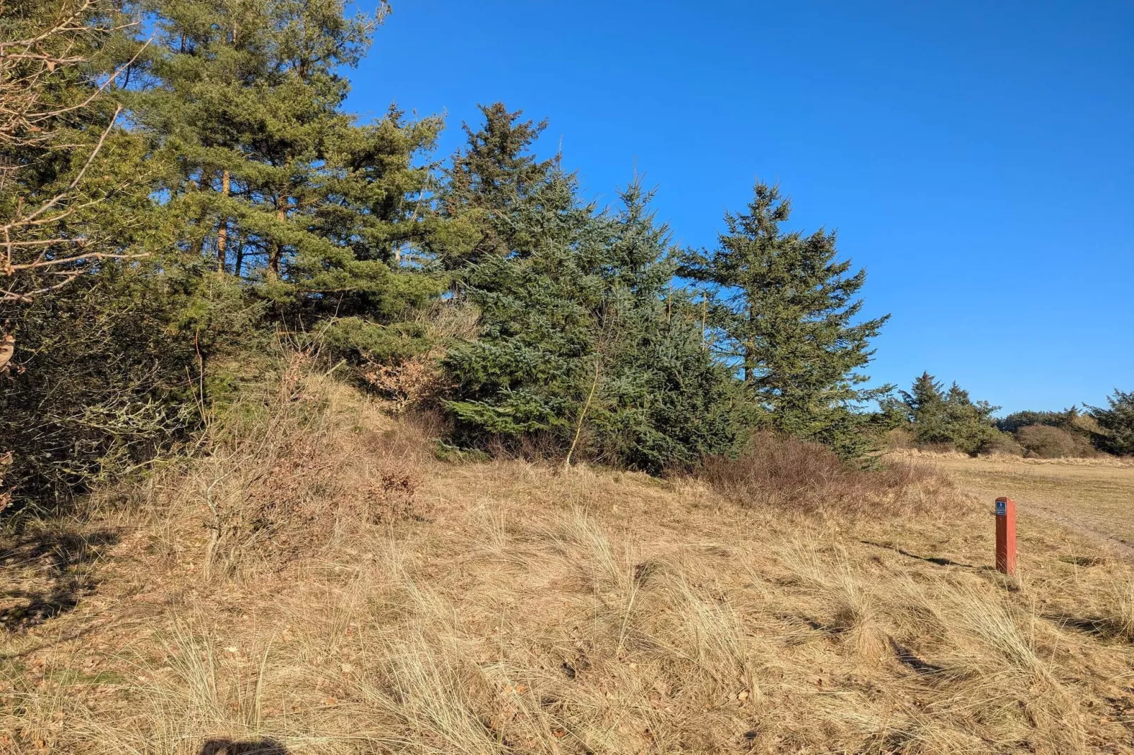 6 persoons vakantie huis in Pandrup-Niet-getagd