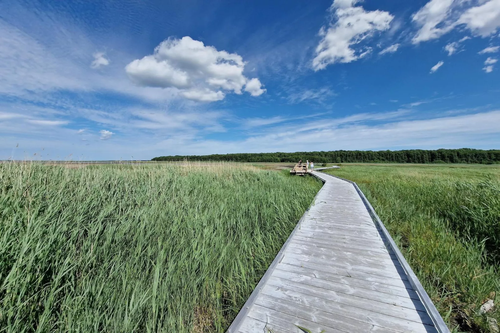 5 persoons vakantie huis in Mörbylånga-By Traum-Niet-getagd