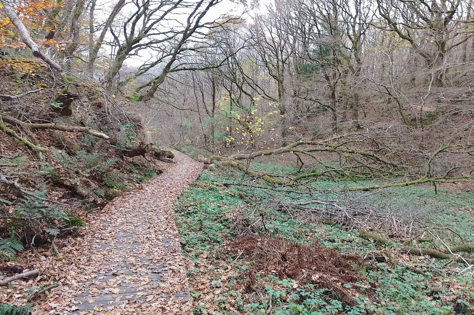 8 persoons vakantie huis in Brovst-By Traum-Niet-getagd