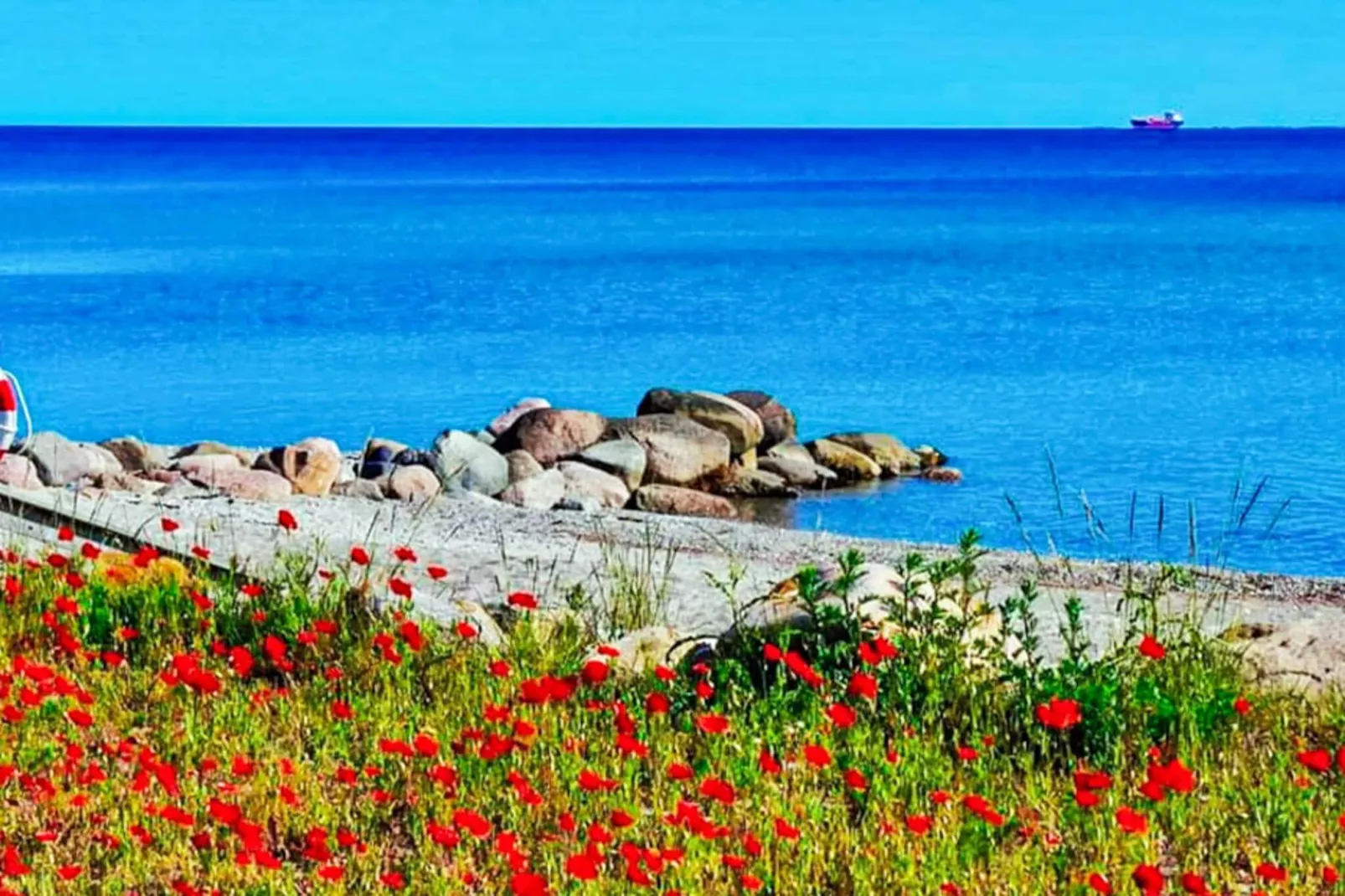 6 persoons vakantie huis in Otterup-By Traum-Waterzicht