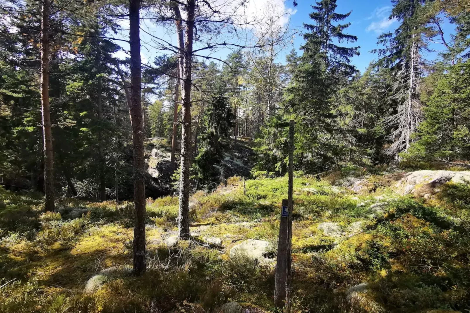 7 persoons vakantie huis in BRUZAHOLM-By Traum-Niet-getagd