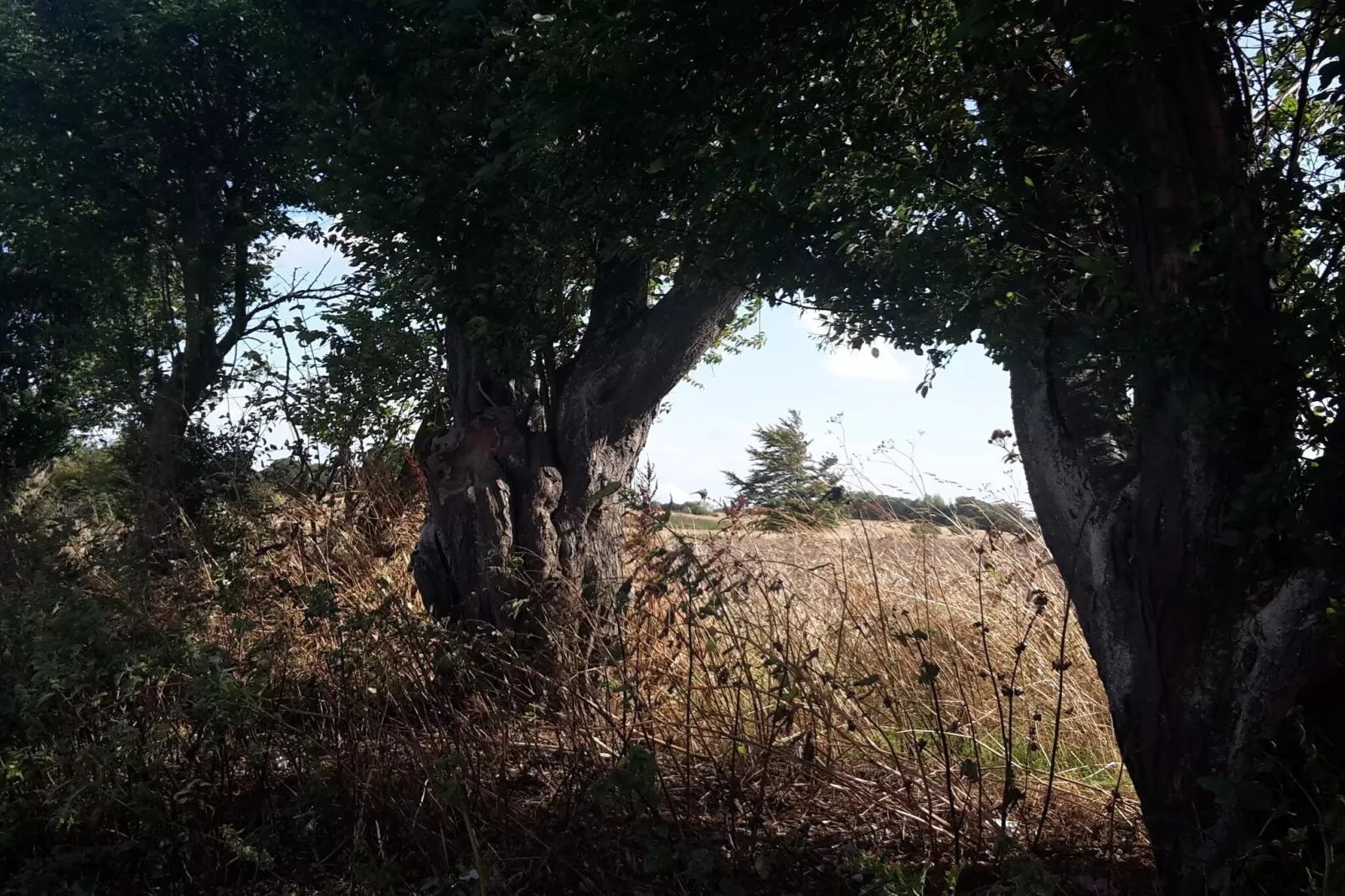 6 persoons vakantie huis in Tranekær-By Traum