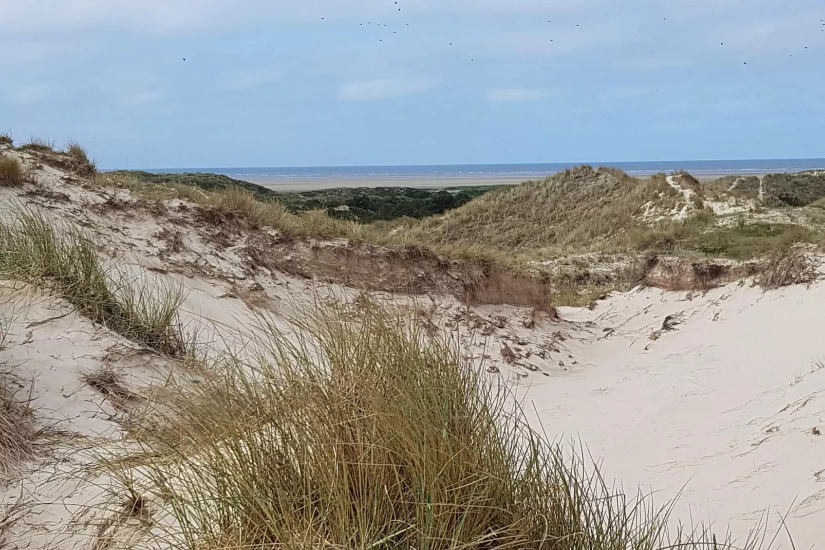 Zwembadparadijs in Fano -- By Traum Ferienwohnungen-Niet-getagd