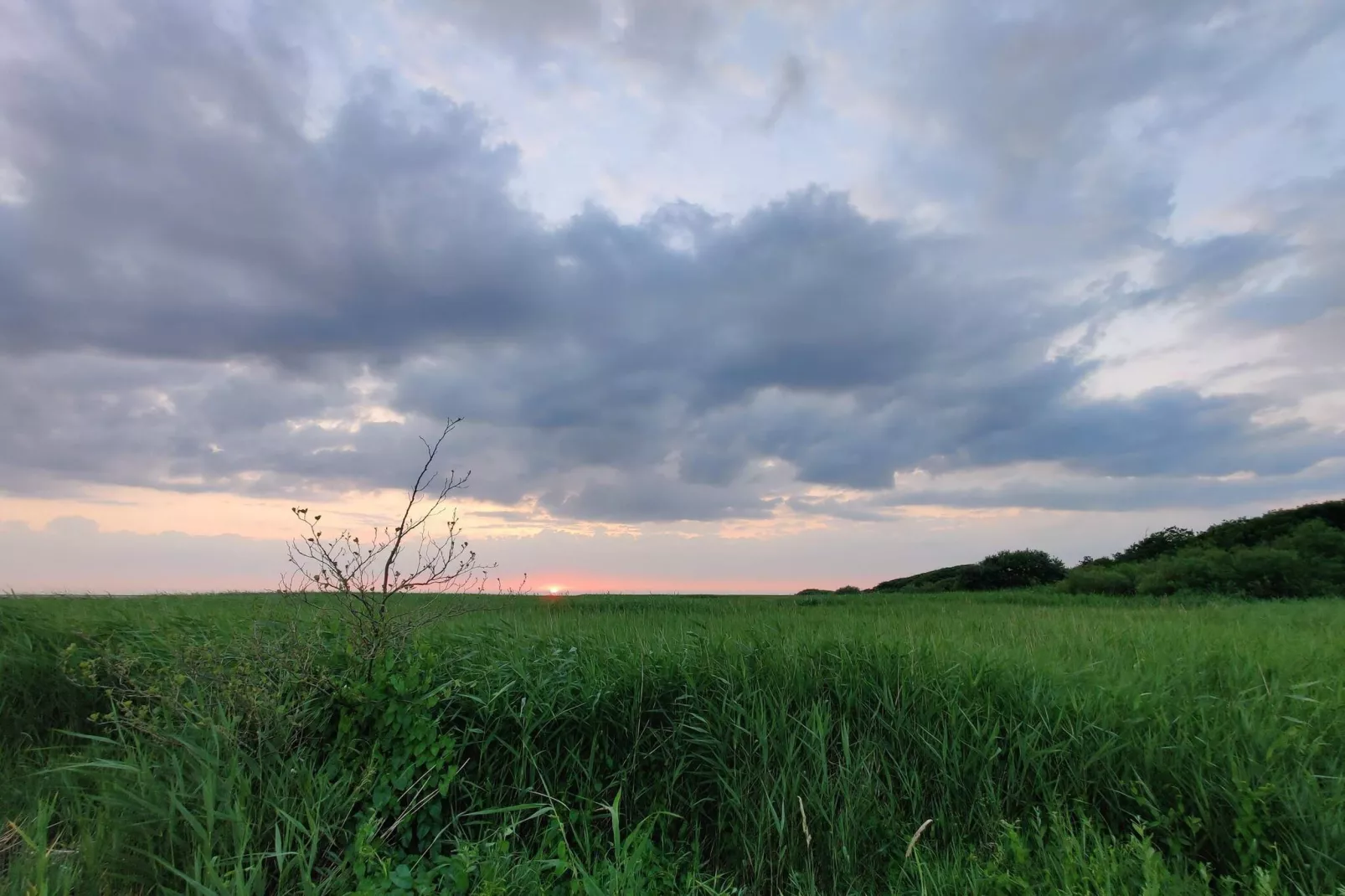 6 persoons vakantie huis in Skjern-By Traum