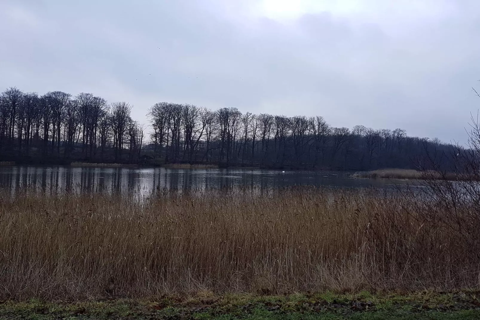 7 persoons vakantie huis in Svendborg-By Traum-Niet-getagd