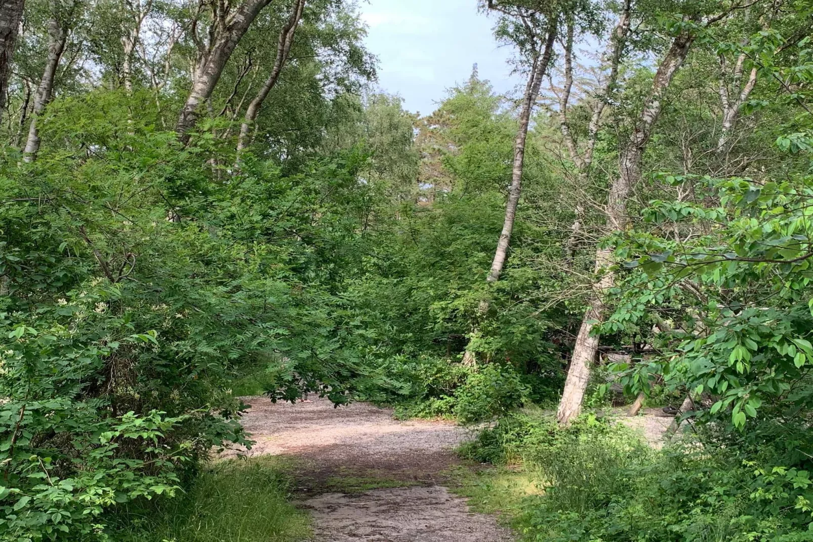 6 persoons vakantie huis in Melby-By Traum-Niet-getagd