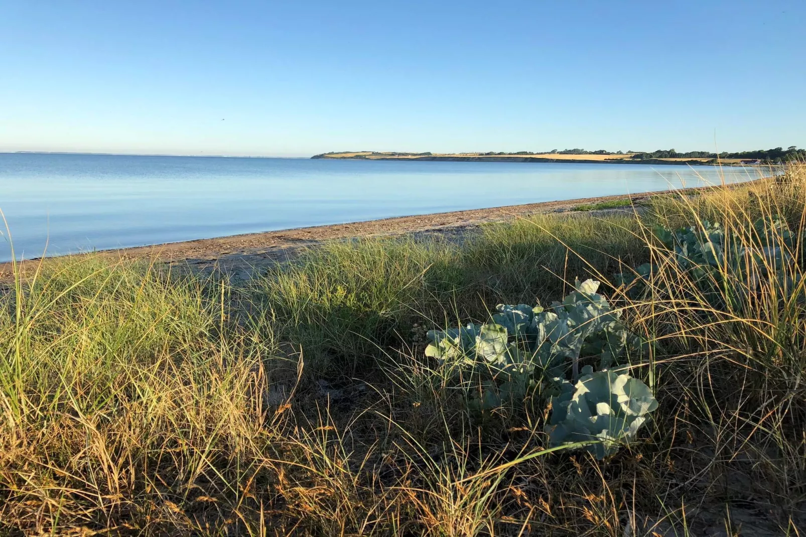 6 persoons vakantie huis in Haarby-By Traum-Waterzicht