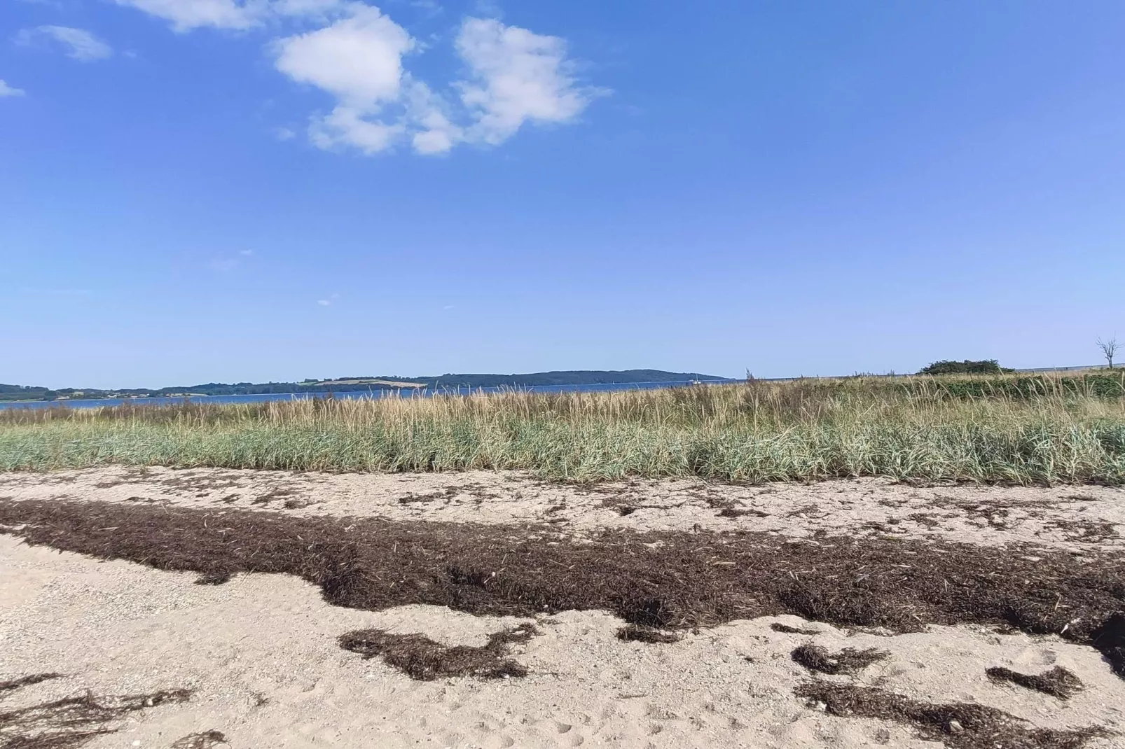 Gezellig toevluchtsoord nabij strand -- By Traum Ferienwohnungen