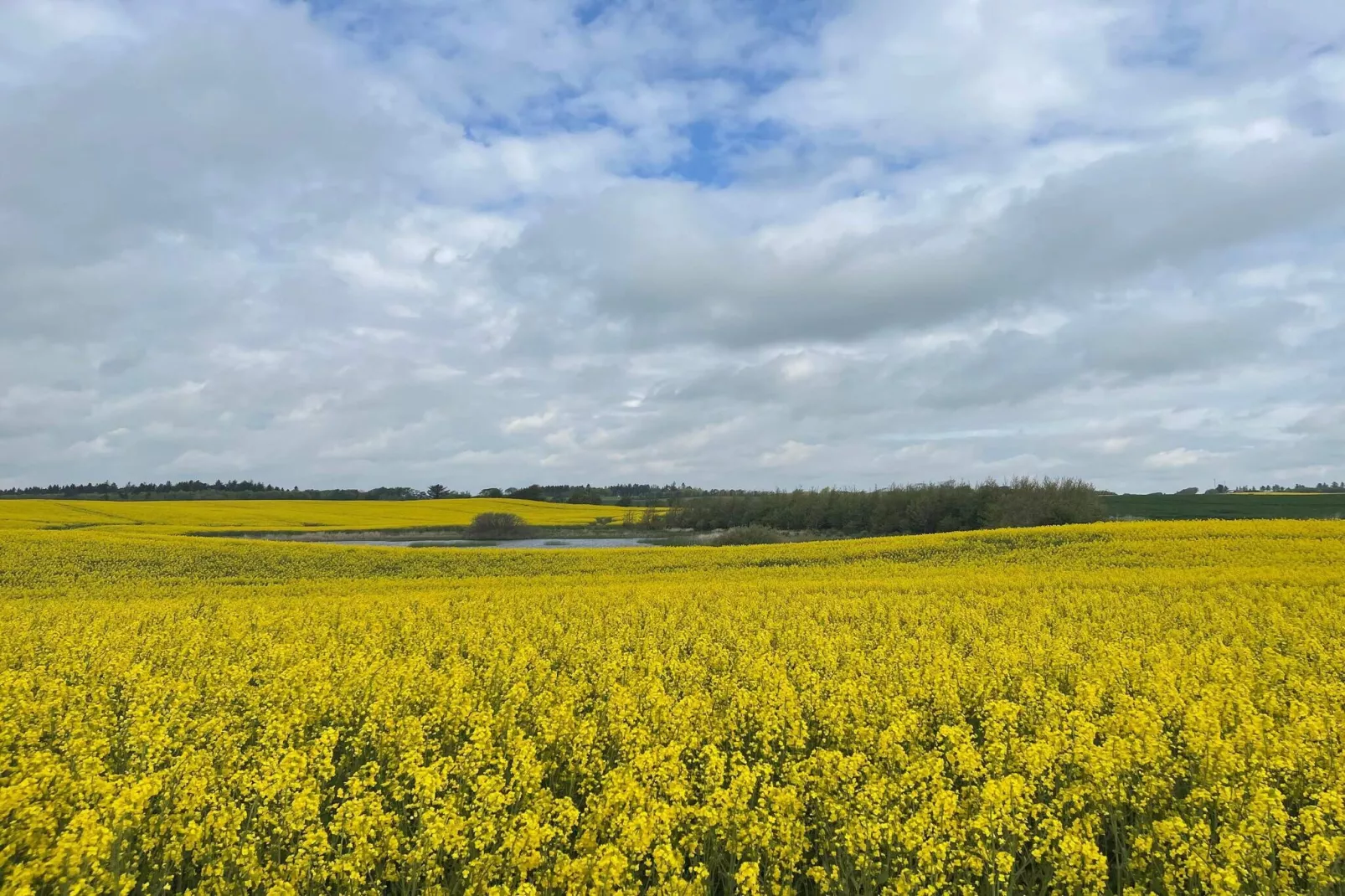 5 persoons vakantie huis in Thisted-By Traum-Niet-getagd