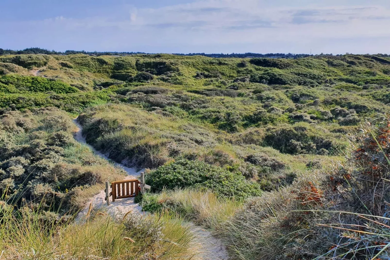 6 persoons vakantie huis in Bindslev-By Traum