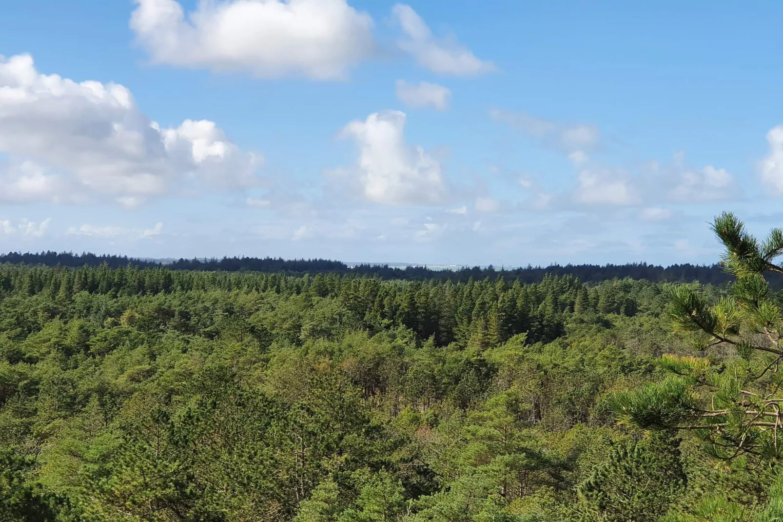 10 persoons vakantie huis in Ålbæk-By Traum-Buitenlucht