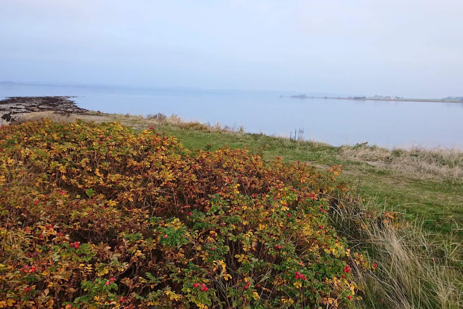 7 persoons vakantie huis in Juelsminde-Waterzicht