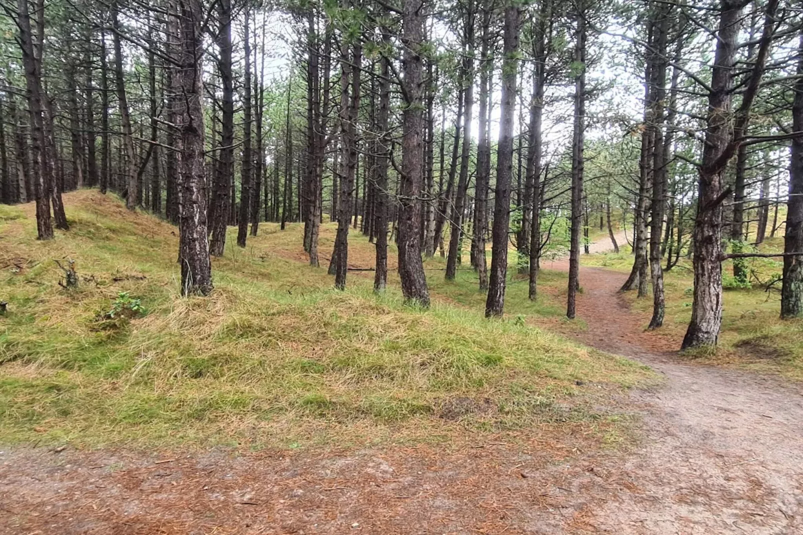 6 persoons vakantie huis in Rømø-By Traum