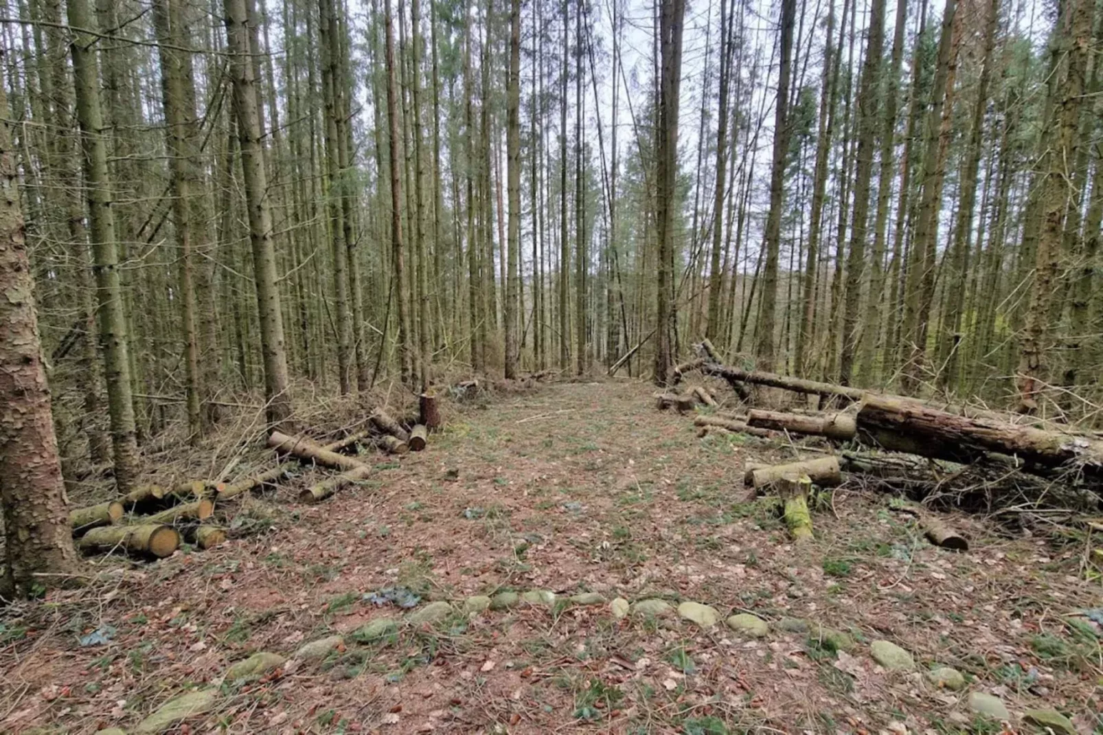 6 persoons vakantie huis in Silkeborg-By Traum