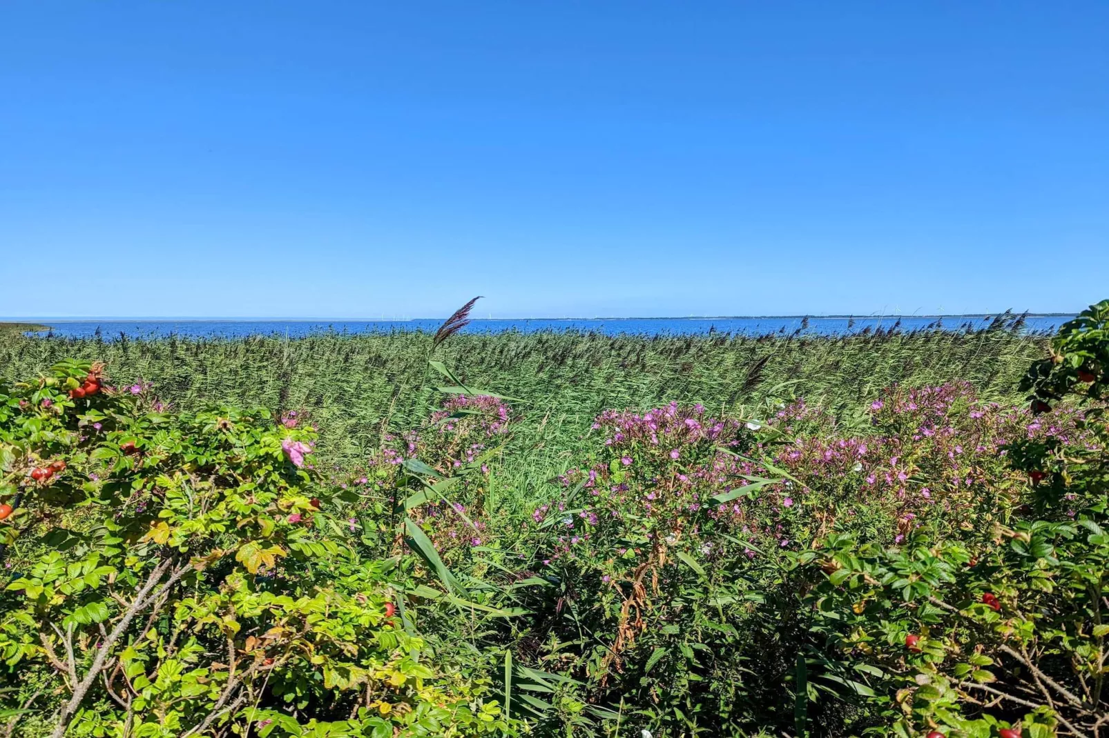 Afgelegen oase bij fjord -- By Traum Ferienwohnungen