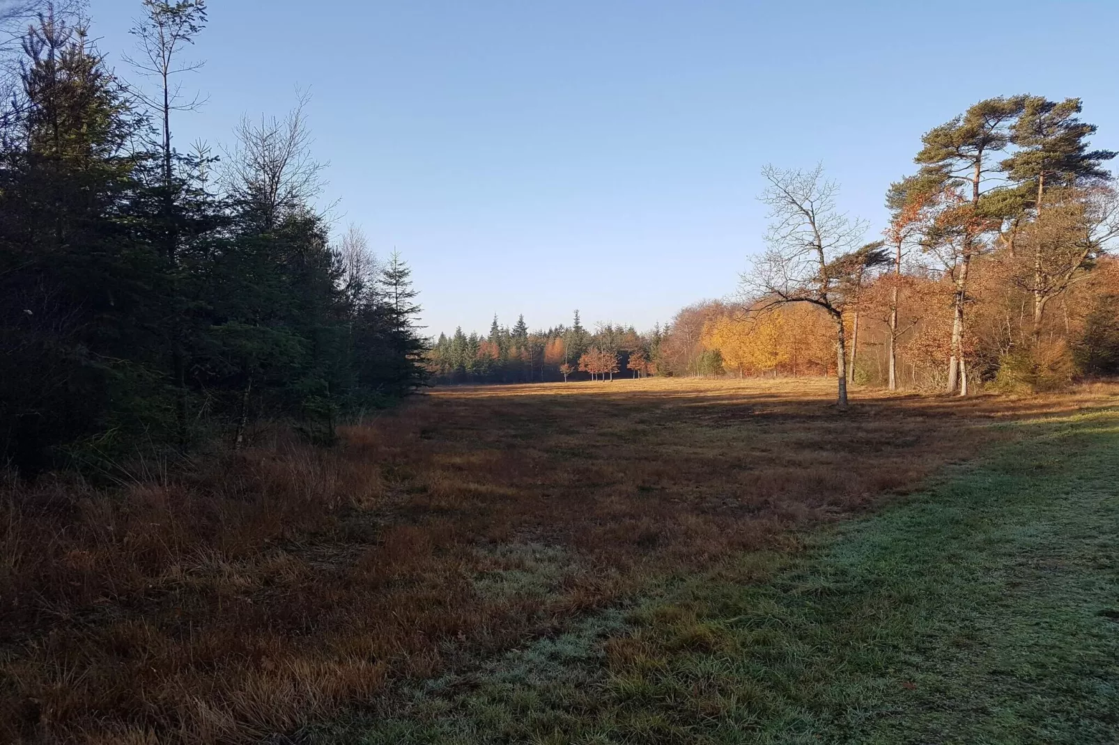 4 persoons vakantie huis in Toftlund-By Traum-Niet-getagd