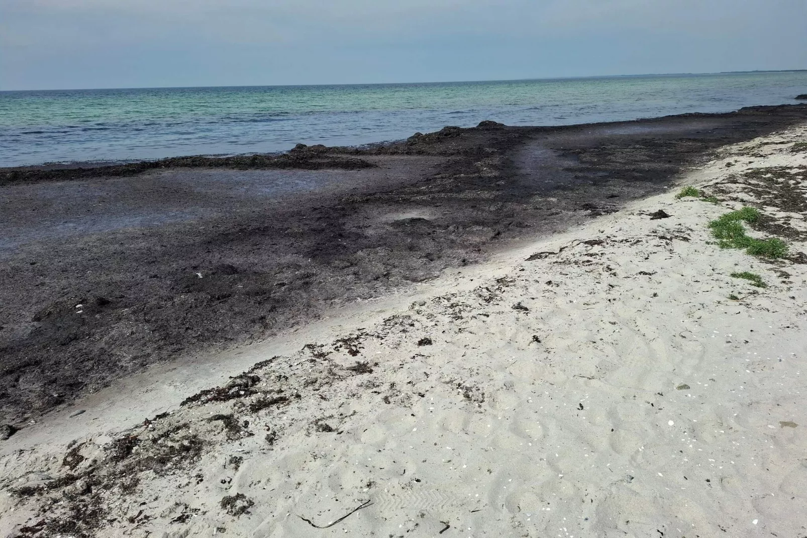 6 persoons vakantie huis in Rødby-By Traum