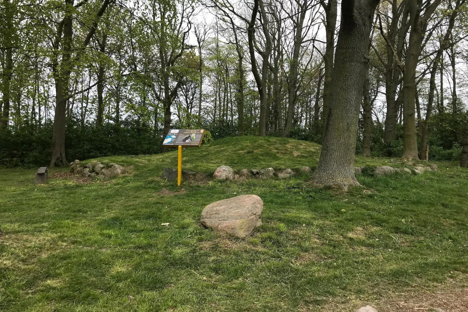 Kiebitzweg 12a Lichtblick DG-Gebieden zomer 1km