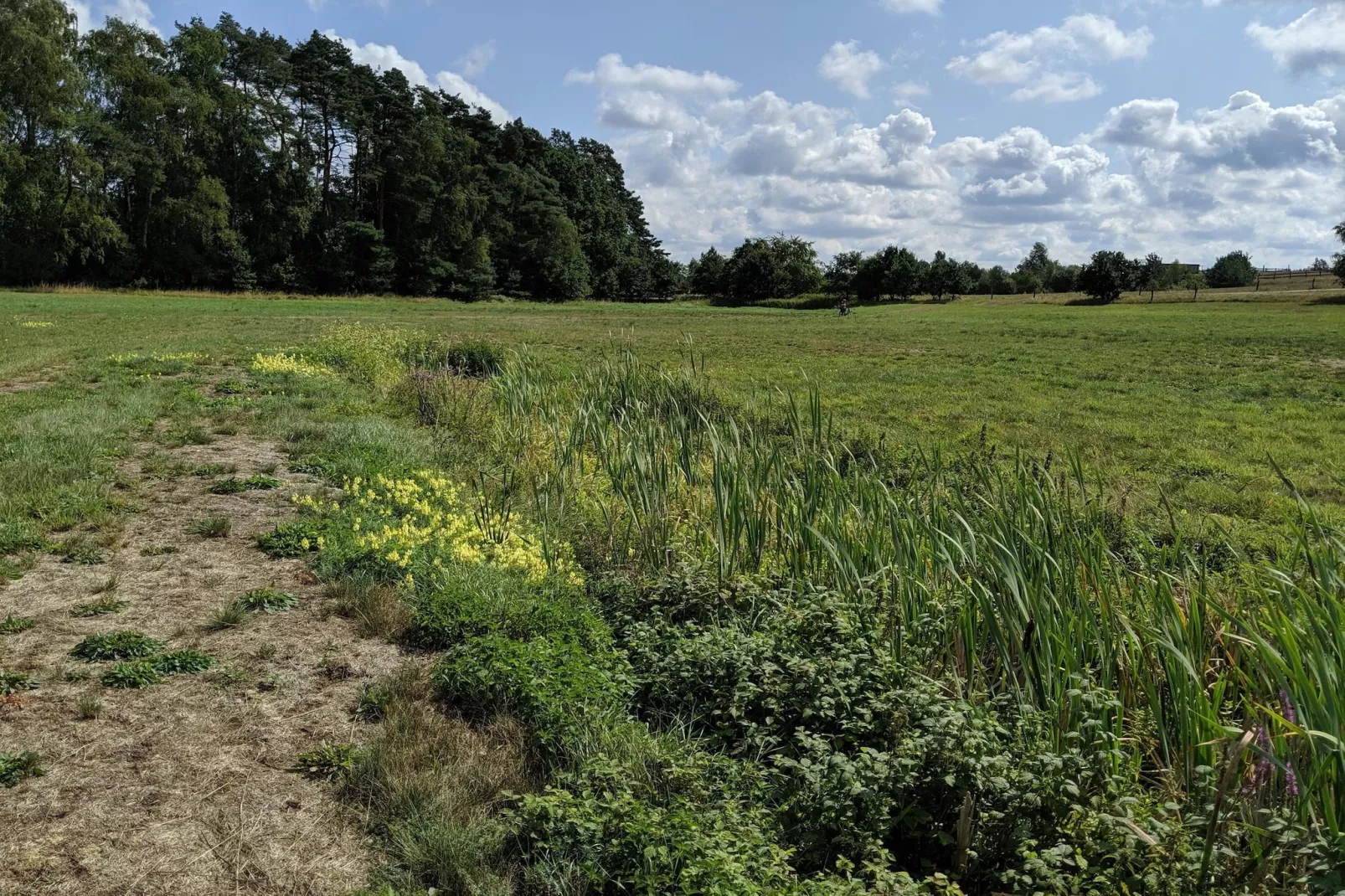 Ferienwohnung 40 qm-Gebieden zomer 1km