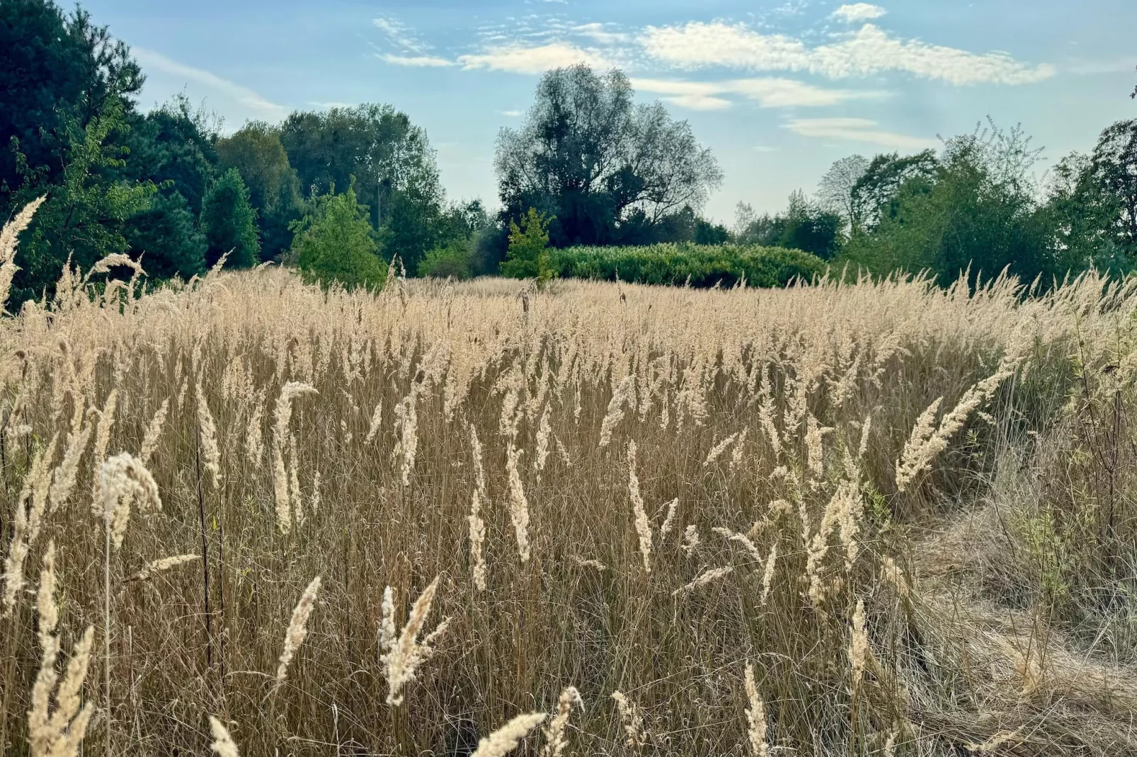 FewoHaus 160 qm-Gebieden zomer 1km