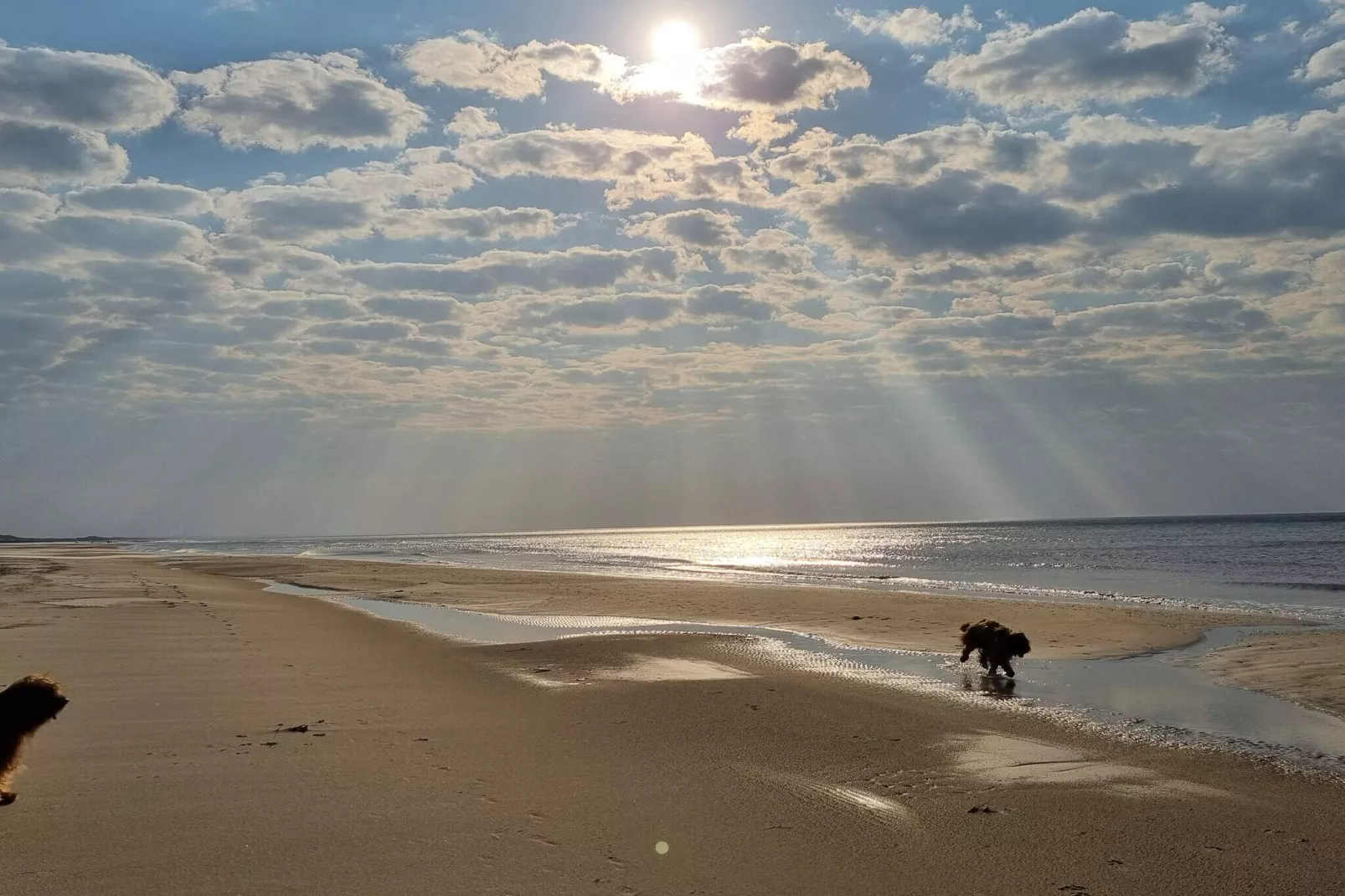 8 persoons vakantie huis in Saltum-By Traum-Waterzicht