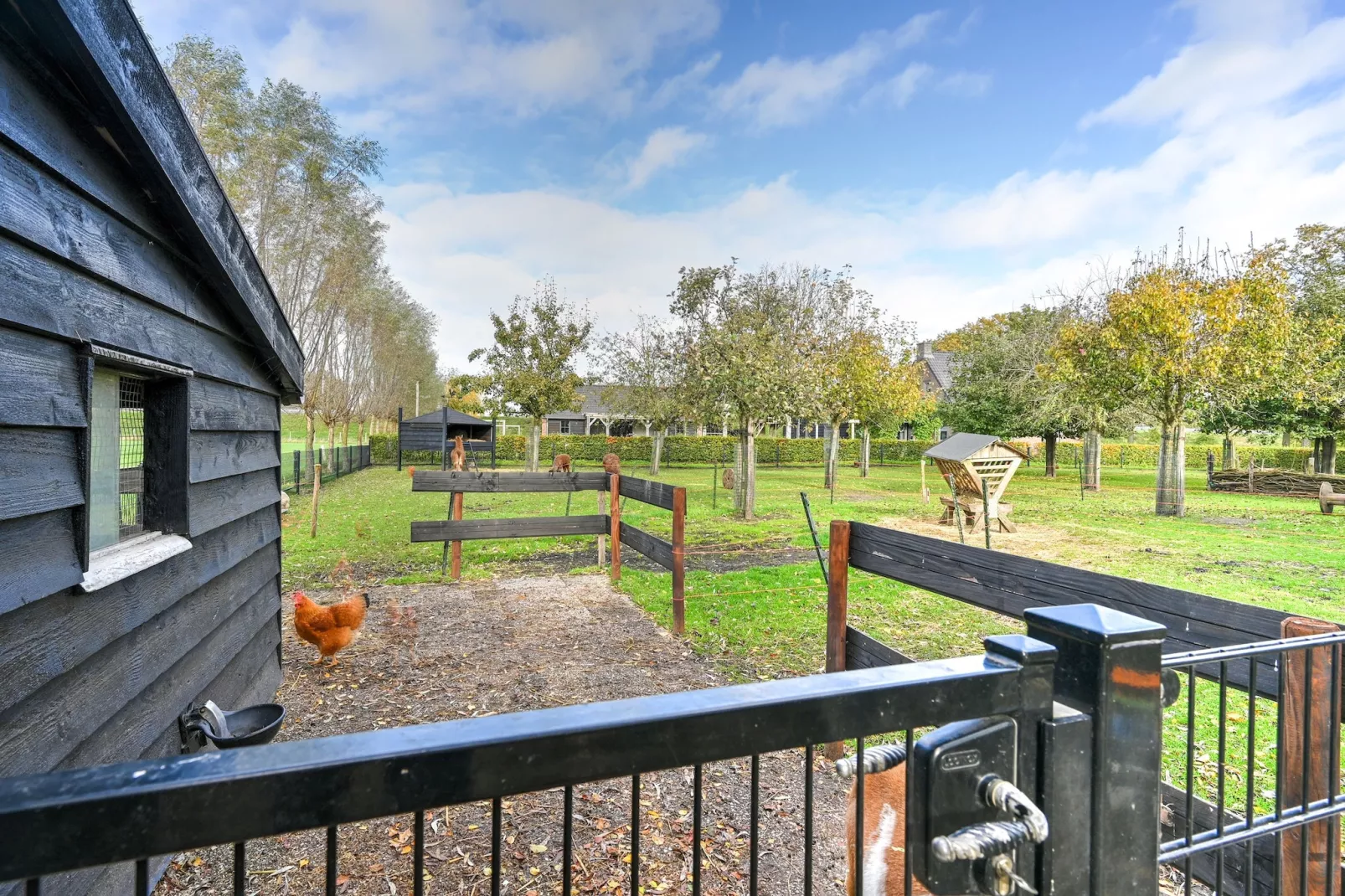 Landelijk Utrecht-Tuinen zomer