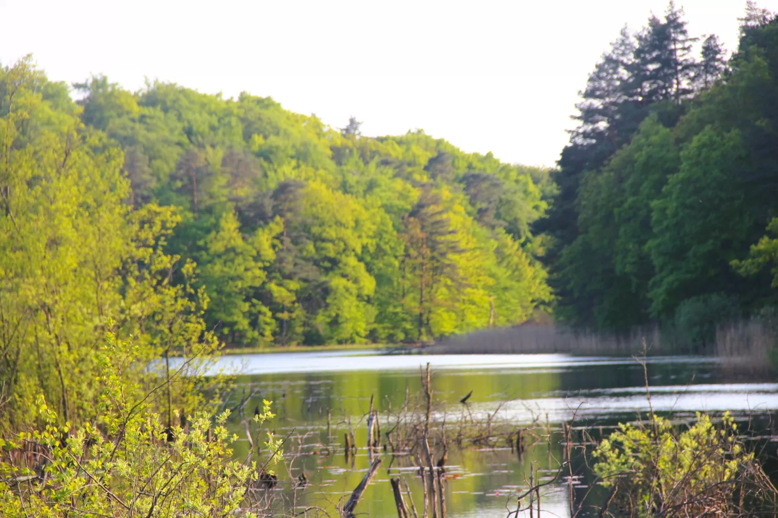 Holiday accomodations Kolczewo Nr 5-Gebieden zomer 1km