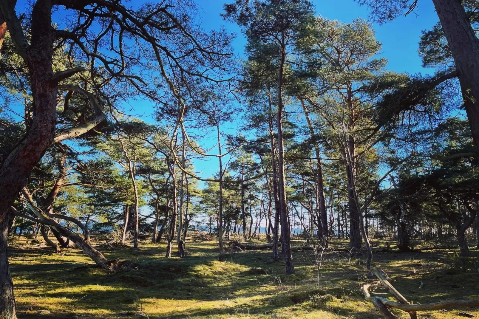 5 persoons vakantie huis in HALTORP-By Traum-Niet-getagd