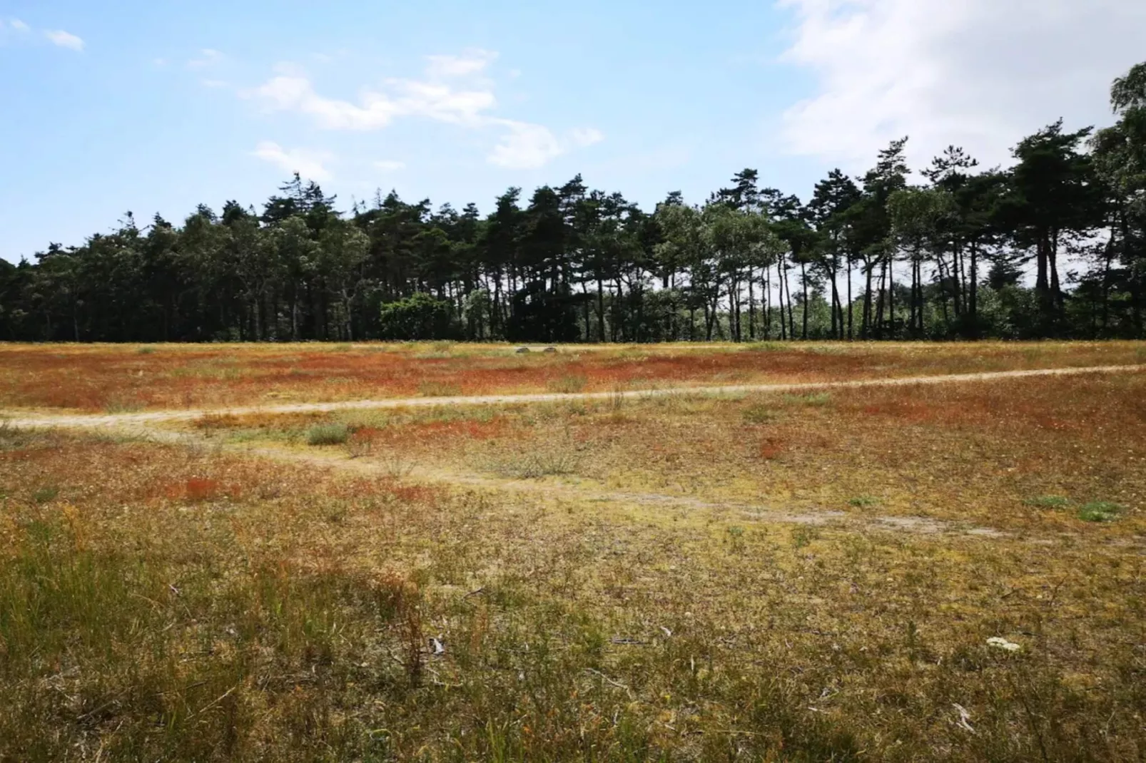 14 persoons vakantie huis in Væggerløse-By Traum