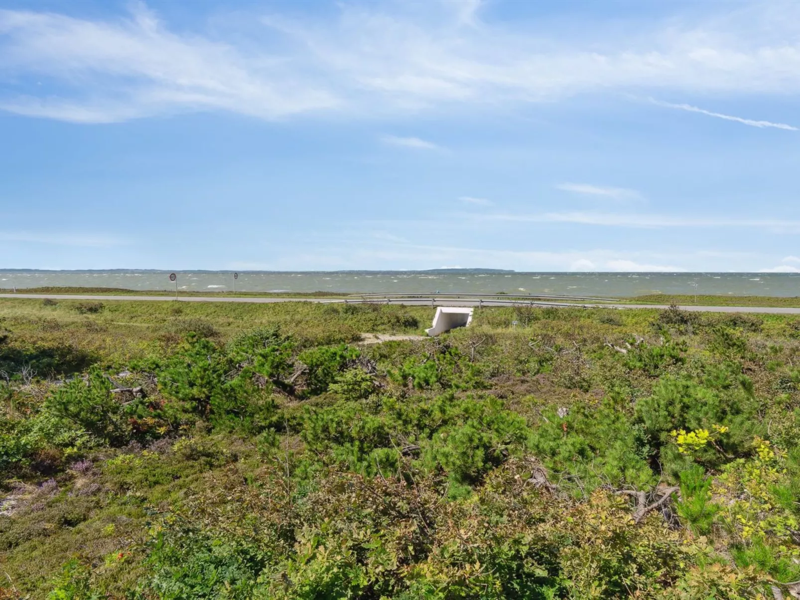 "Awenita" - 50m to the fjord