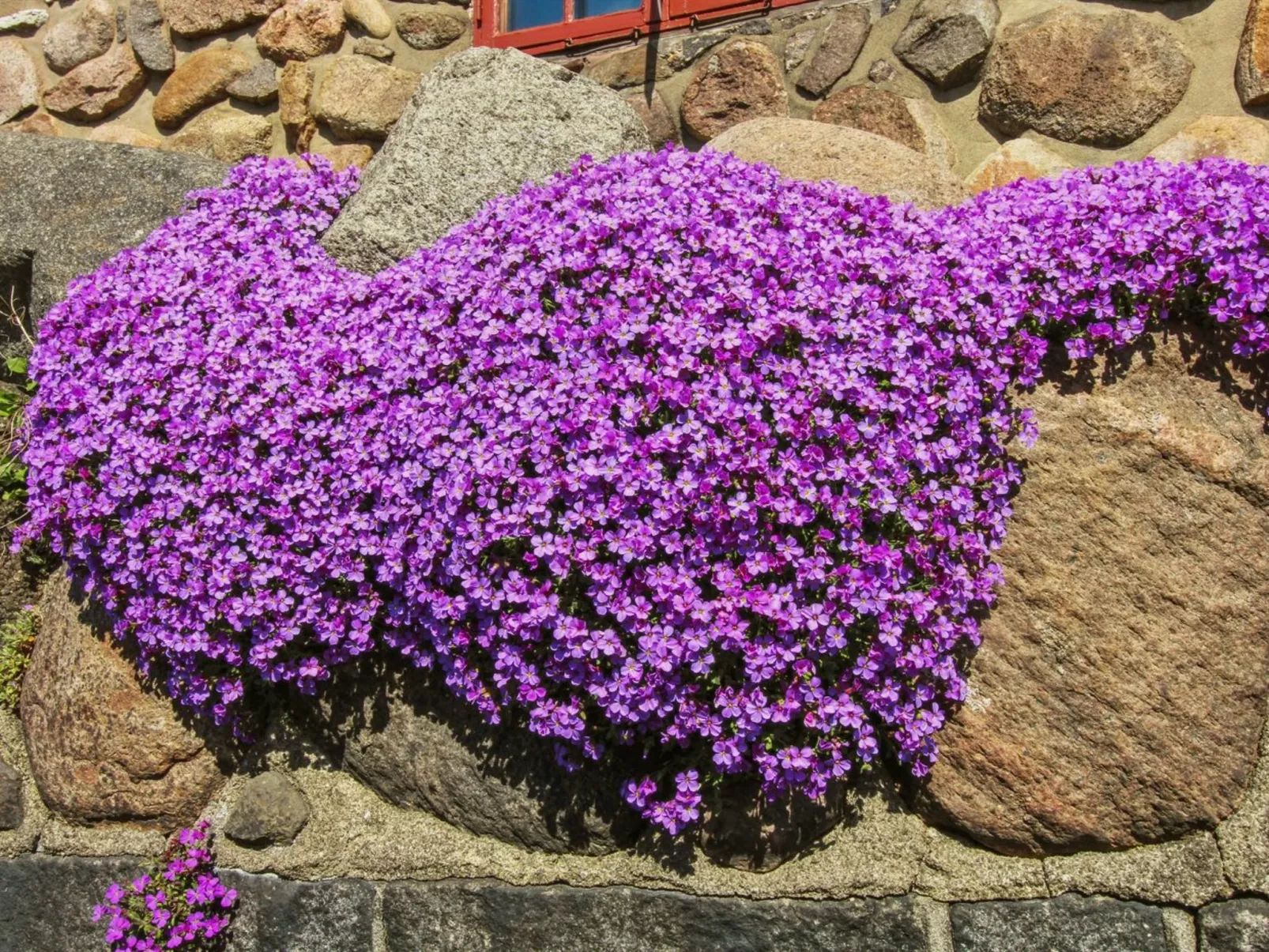 "Detlef" - 200m from the sea