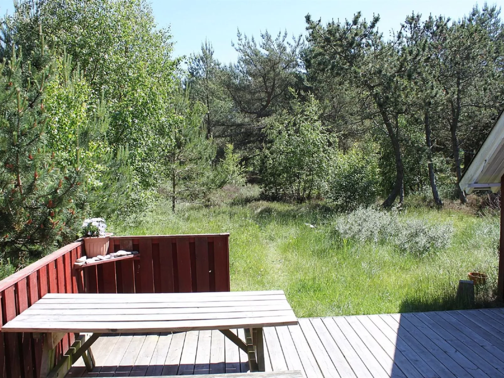 "Elizaveta" - 400m from the sea